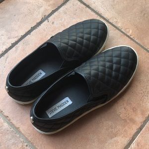 Steve Madden Ecentrcq slip on sneakers